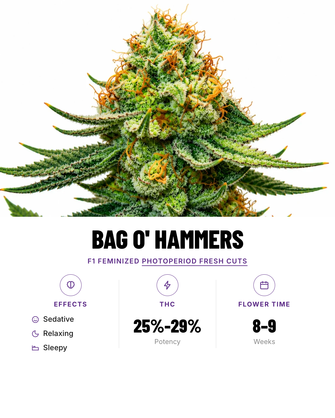 BAG O' Hammers Feminized Photoperiod Fresh Cuts