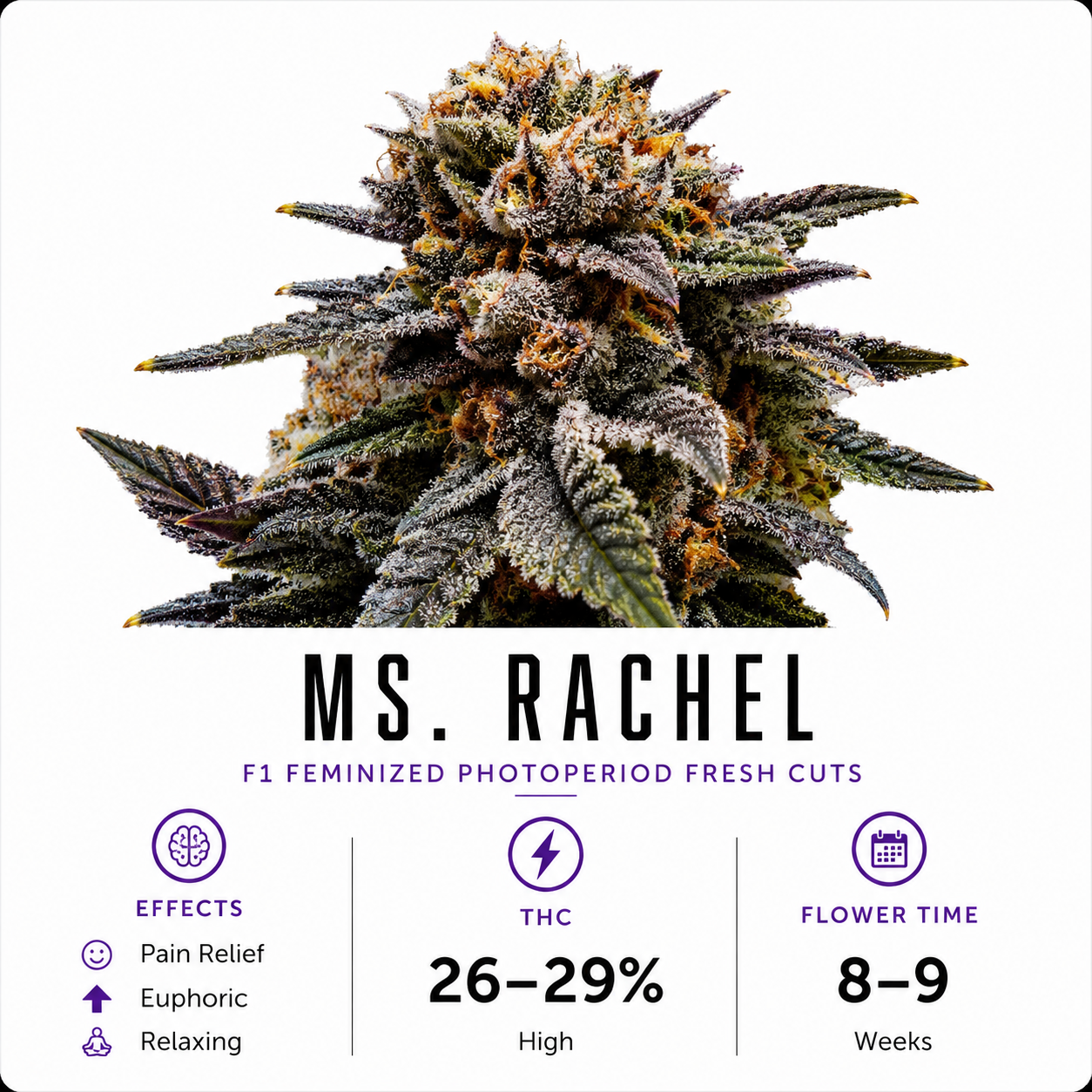 Ms. Rachel F1 Feminized Photoperiod Fresh Cuts