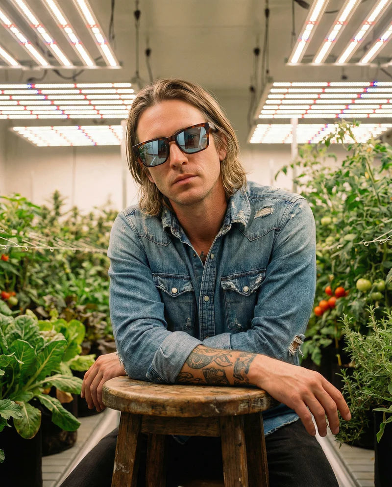 EVOLUTION HPS CRYSTAL TORTOISE