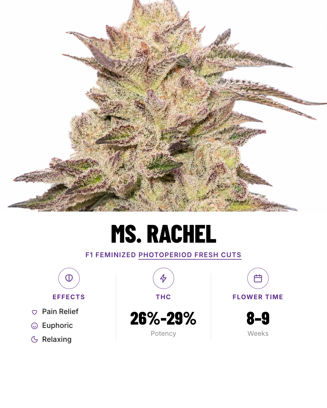 Ms. Rachel F1 Feminized Photoperiod Fresh Cuts