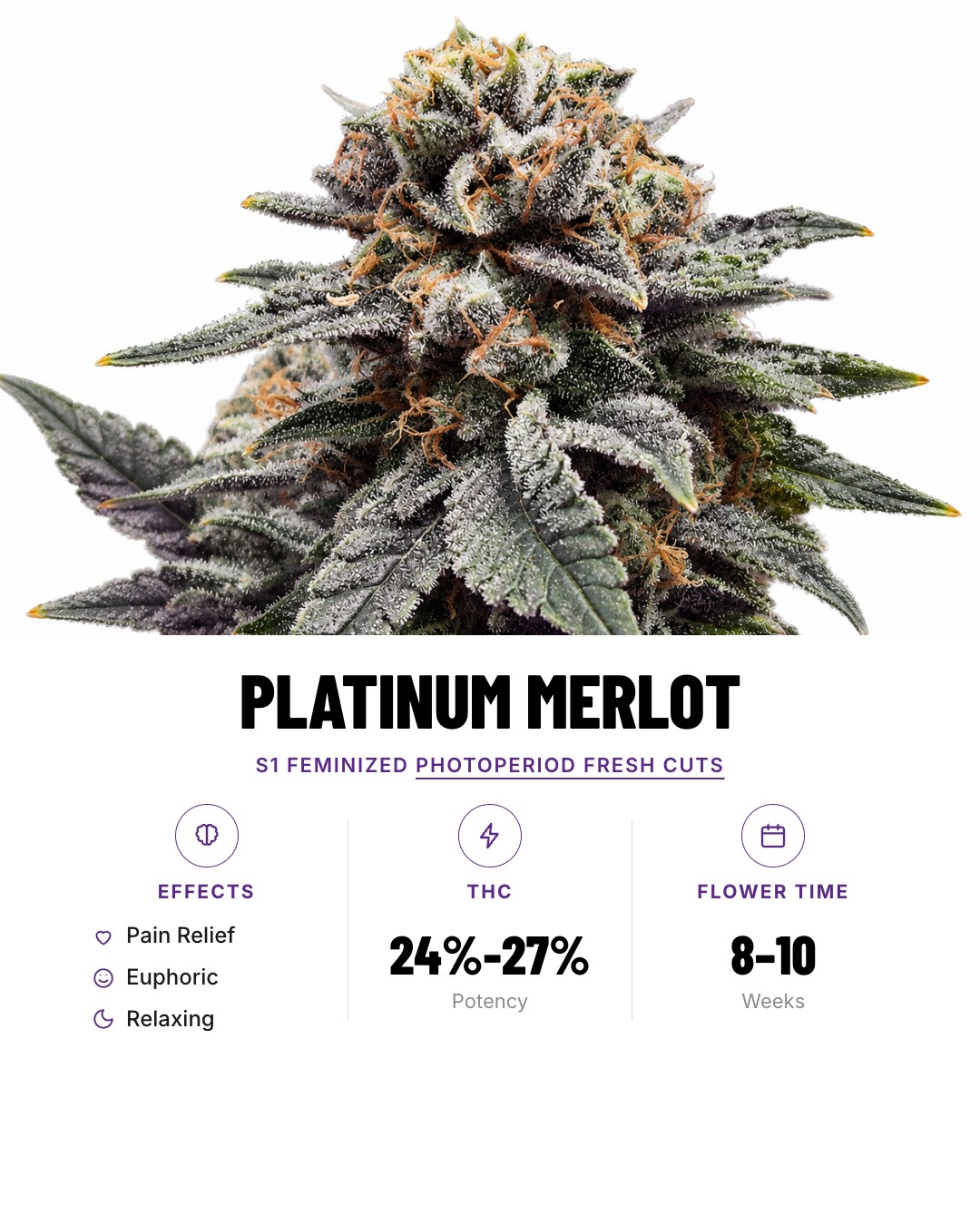 Platinum Merlot Feminized Photoperiod Fresh Cuts