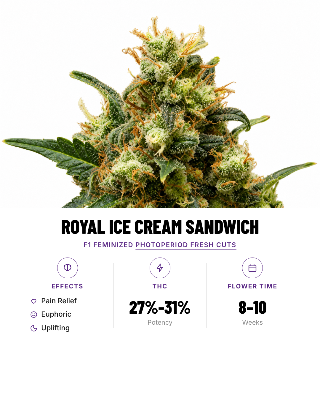 Royal Ice Cream Sandwich Feminized Photoperiod Fresh Cuts