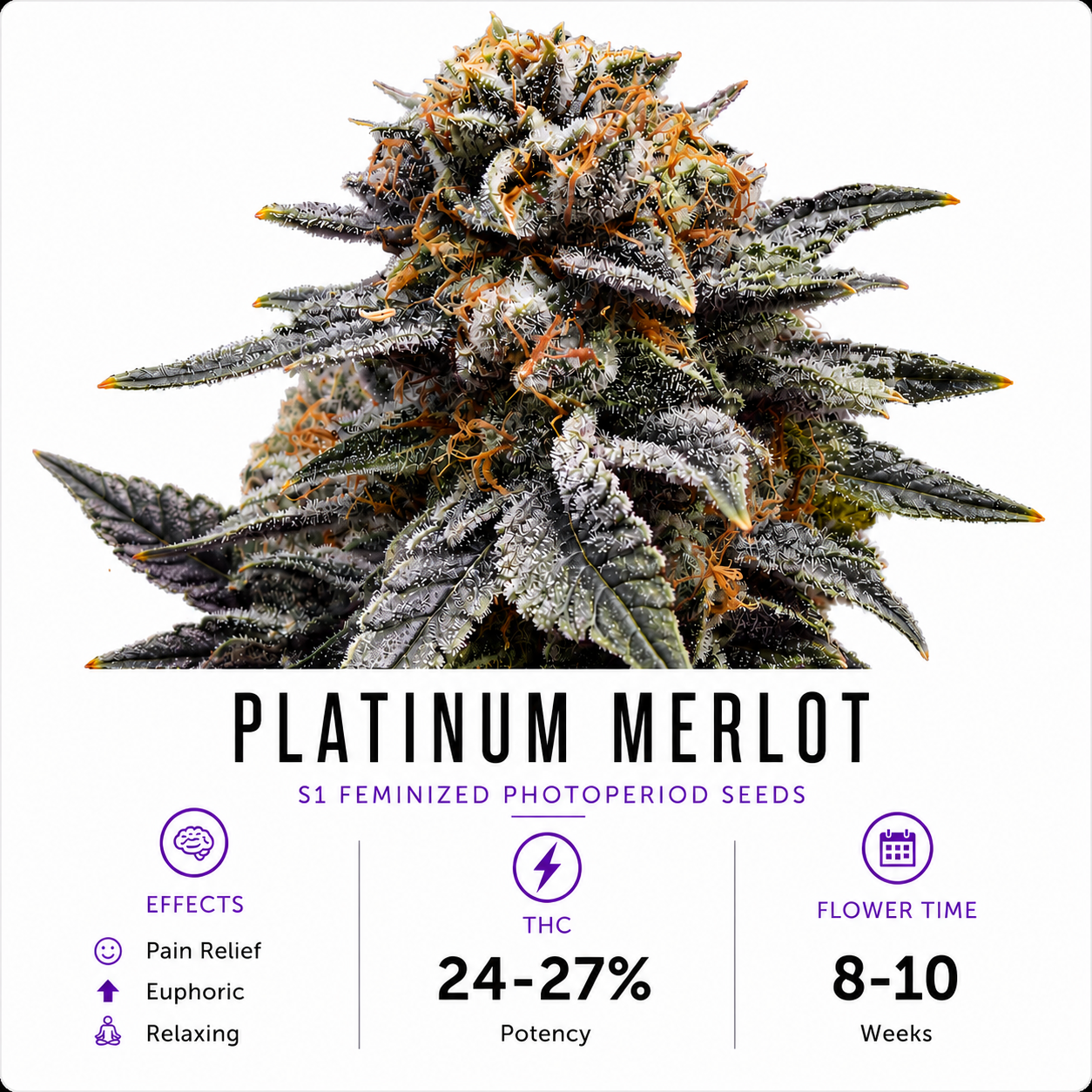 Platinum Merlot Feminized Photoperiod Seeds