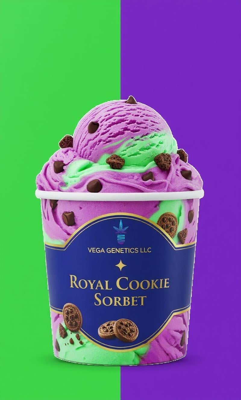 Royal Cookie Sorbet Feminized Photoperiod Seeds