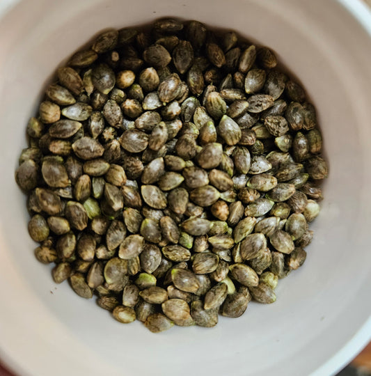 Seeds 4 Hope