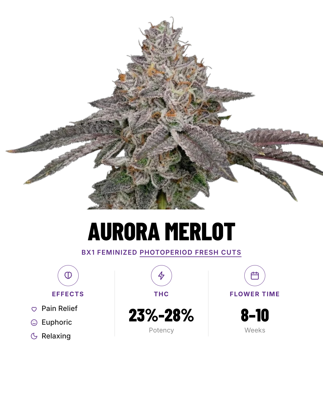 Aurora Merlot Feminized Photoperiod Fresh Cuts
