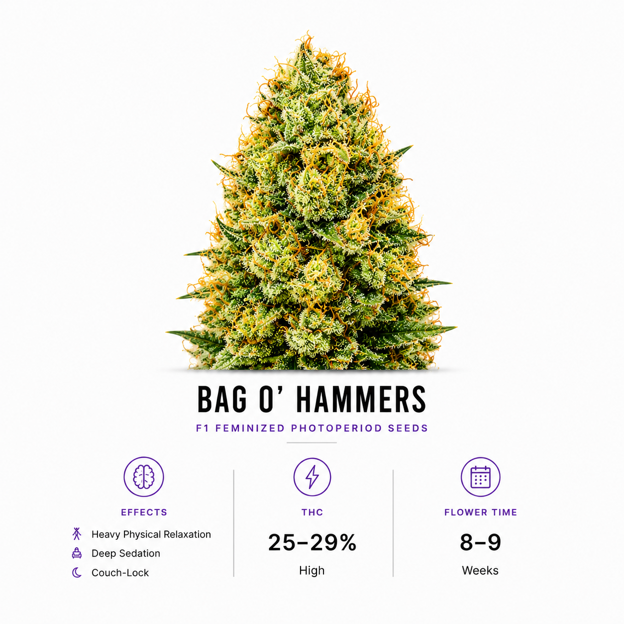 BAG O' Hammers F1 Feminized Photoperiod Seeds