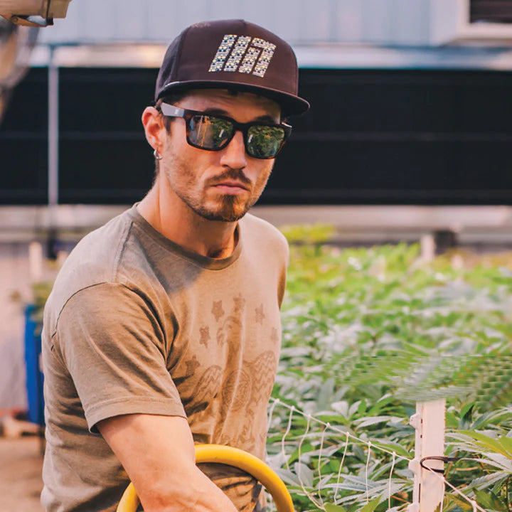 EVOLUTION HPS CRYSTAL TORTOISE