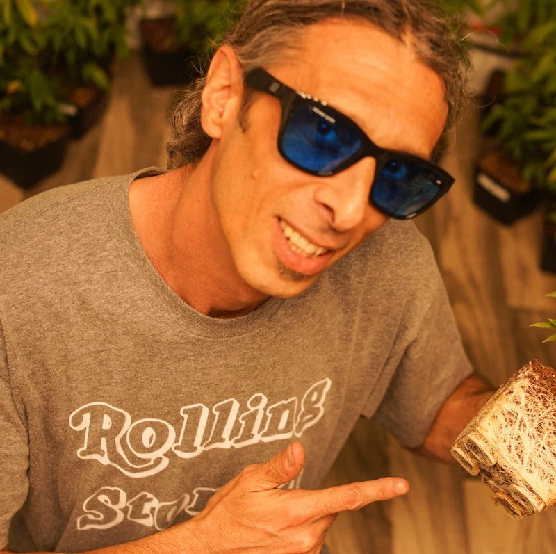 COUP HPS CRYSTAL TRANSLUCENT GREEN