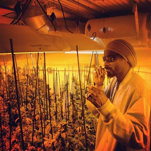 CITADEL HPS PREMIUM GUNMETAL