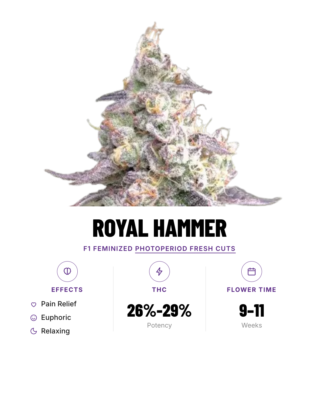Royal Hammer F1 Feminized Photoperiod Fresh Cuts