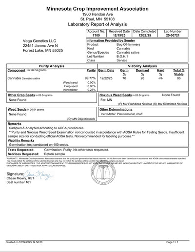 BAG O' Hammers F1 Feminized Photoperiod Seeds